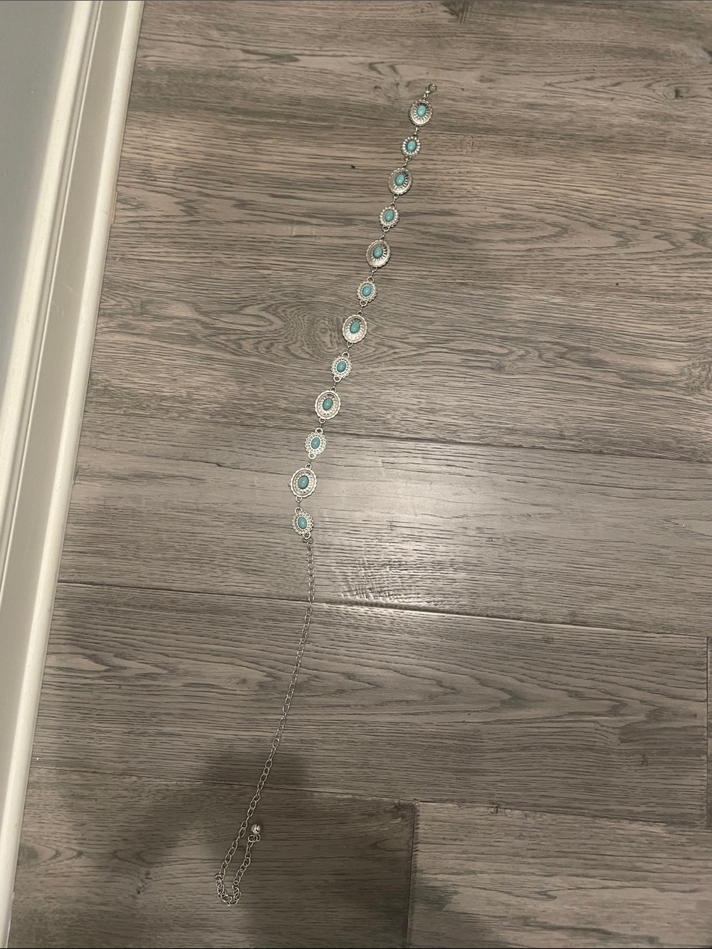Silver and blue belt